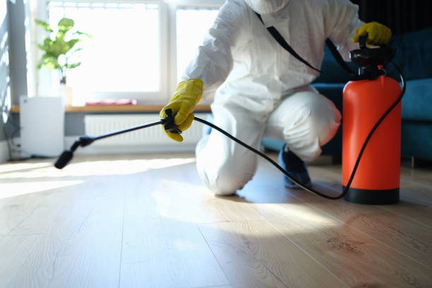 Reliable Biohazard Cleanup contractor in Brookhaven, NY by Trauma Clean Pros